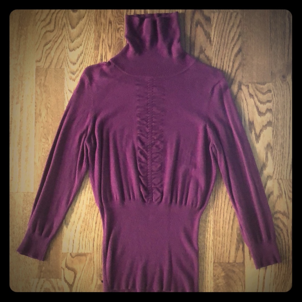Express Turtleneck Sweater